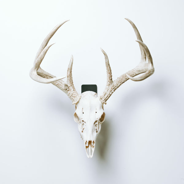 Euro Mount Pro