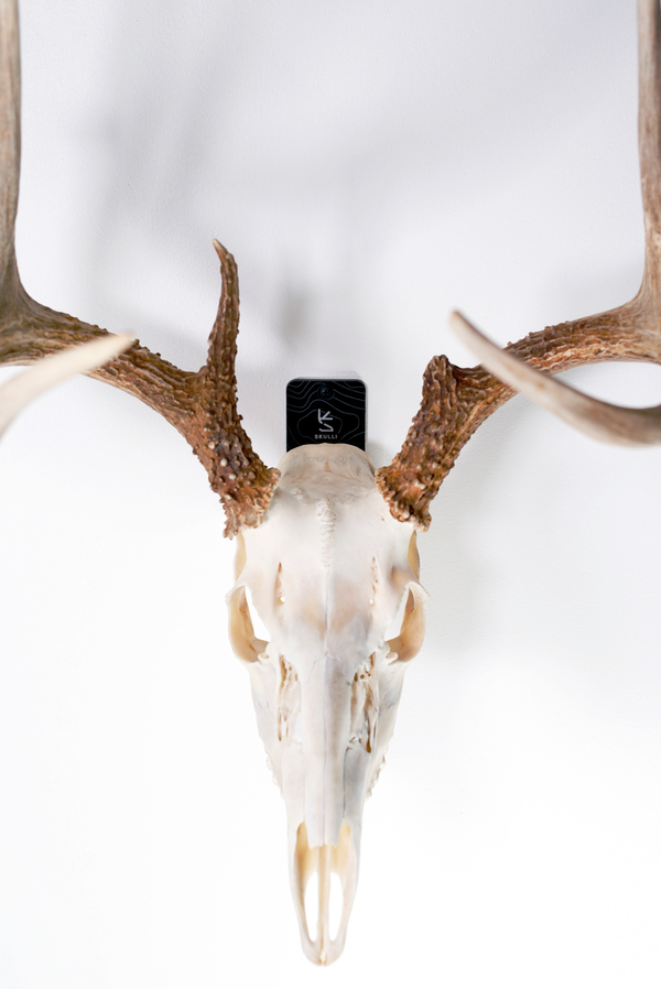 Euro Mount LT