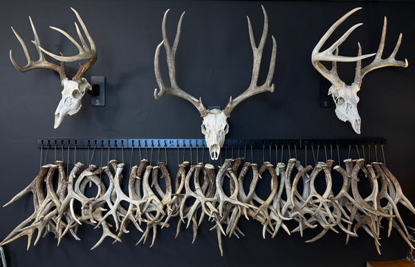 Shed-Lock™ 12 Slot