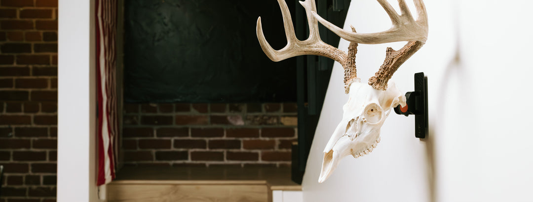 Euro Mounts