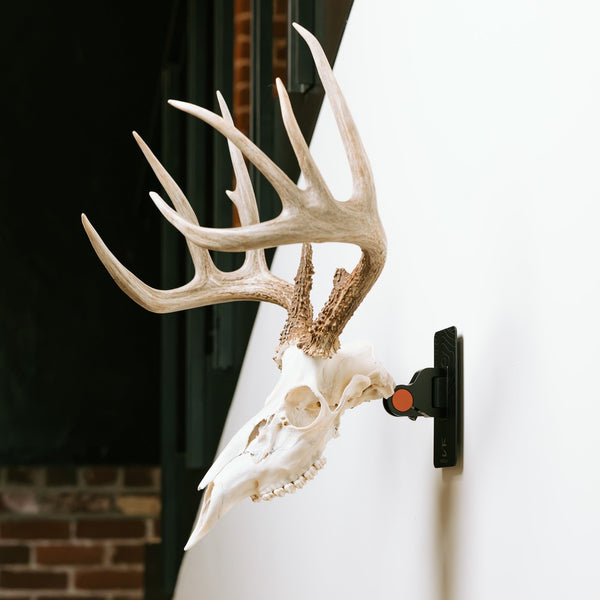 Euro Mount Pro
