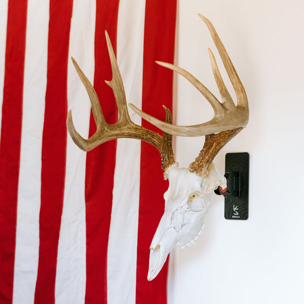 Euro Mount Pro