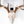 Euro Mount LT