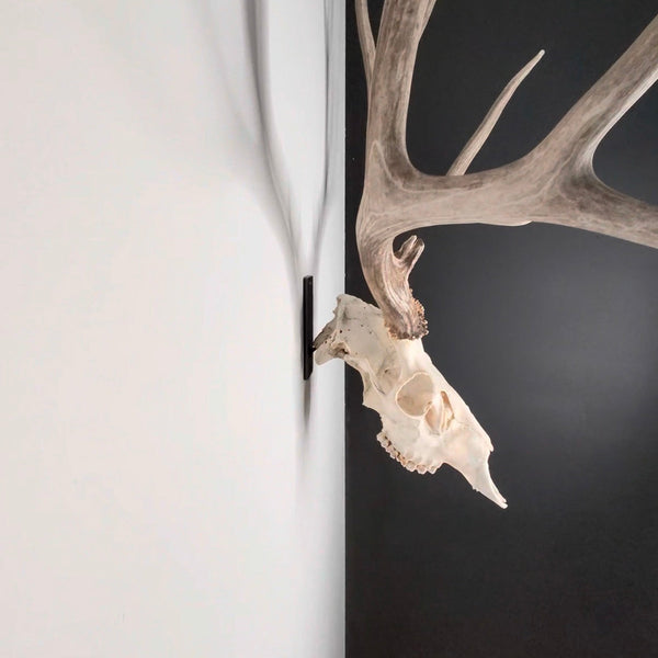 Euro Mount LT